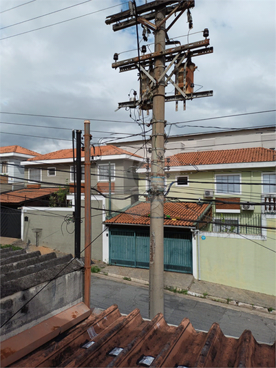 Foto REO1080842