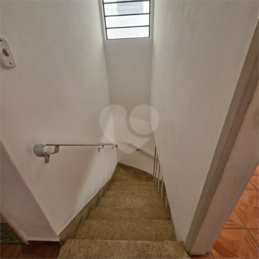 Foto REO1080842
