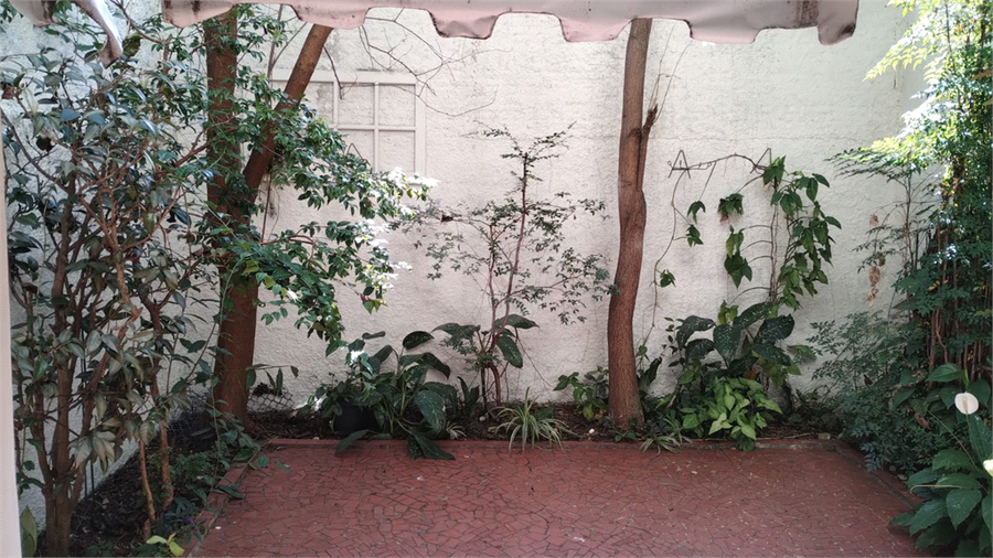 Foto REO1080842