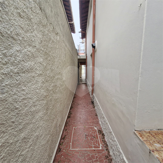 Foto REO1080842