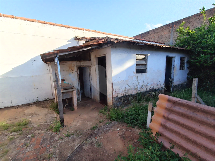 Foto REO1080845