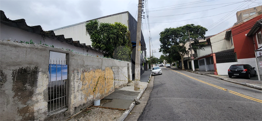 Foto REO1080857