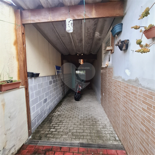 Foto REO1080859