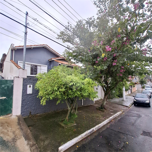 Foto REO1080859