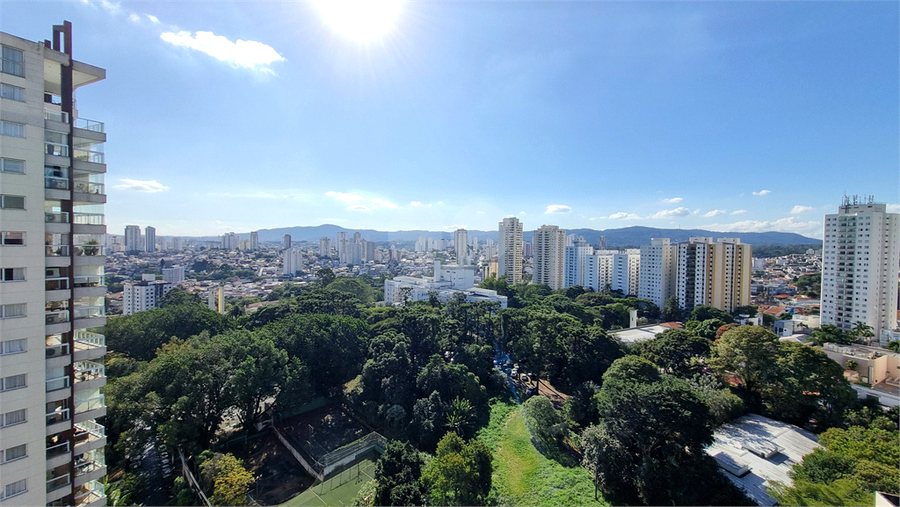 Foto REO1080864