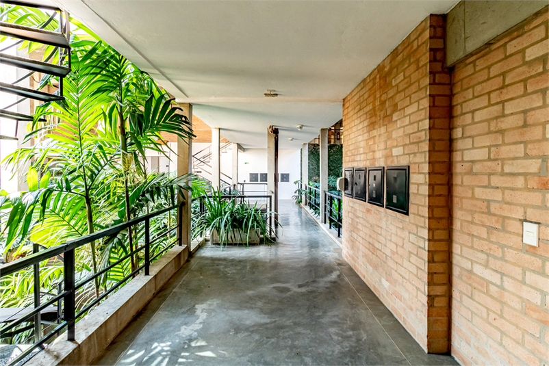 Foto REO1080874