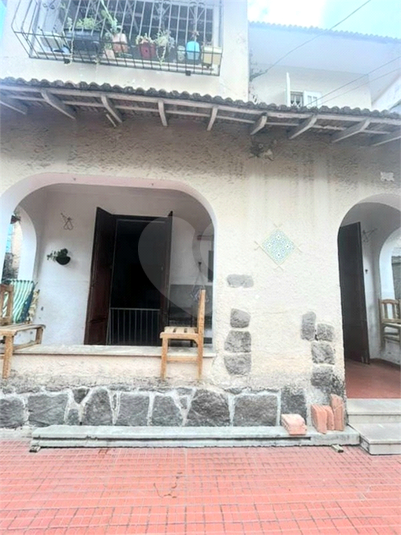 Foto REO1080875