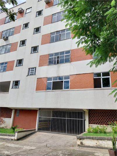 Foto REO1080887