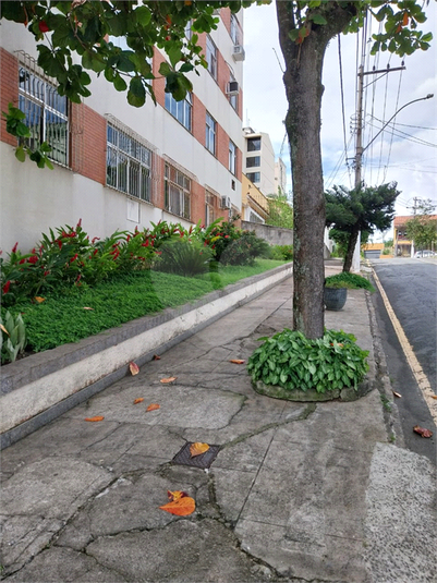 Foto REO1080887