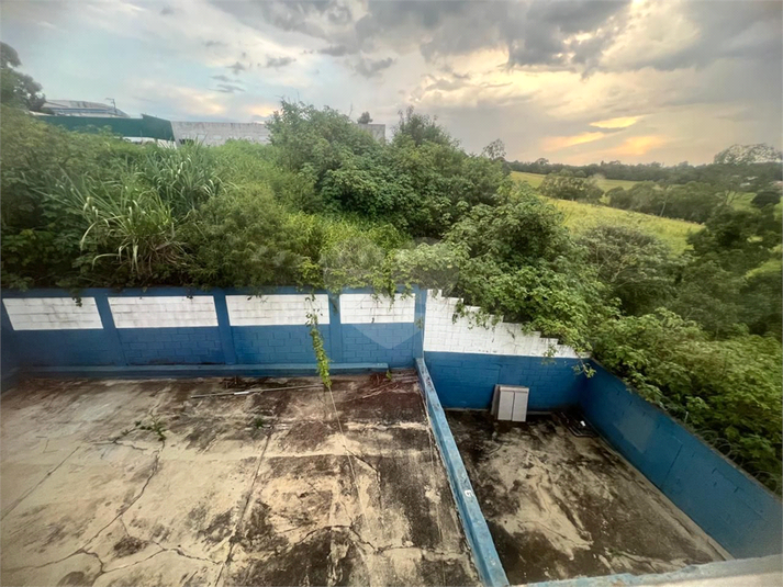 Foto REO1080894