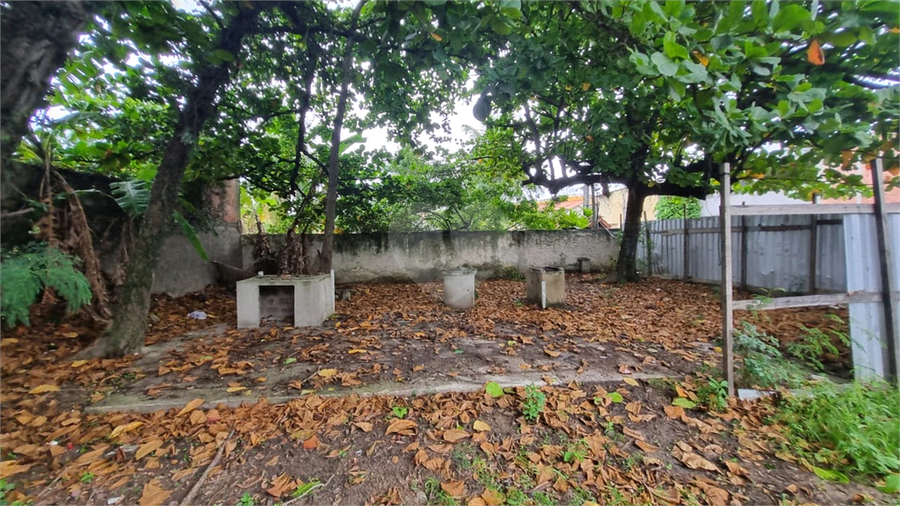 Foto REO1080937
