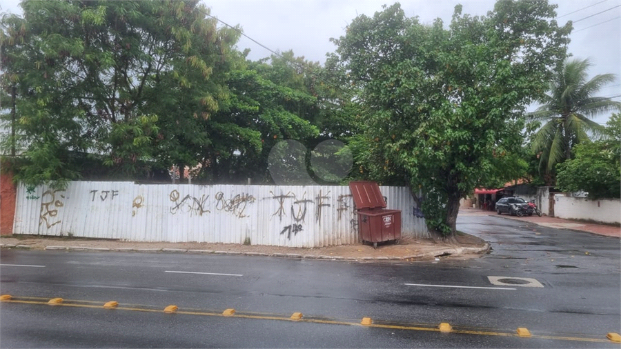 Foto REO1080937