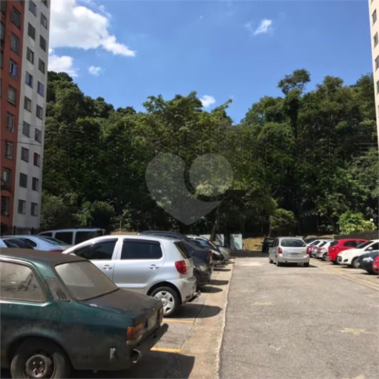 Foto REO1080982