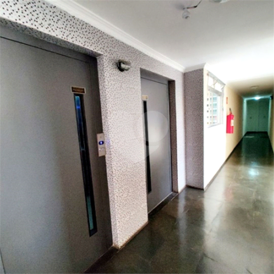 Foto REO1080982