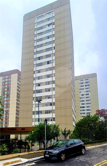 Foto REO1081044