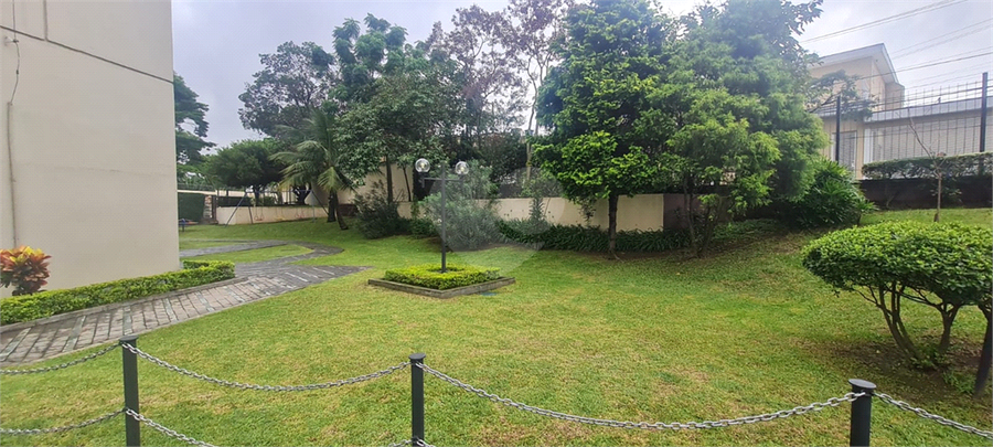 Foto REO1081044
