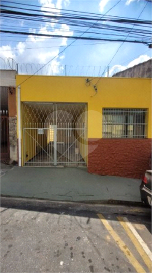 Foto REO1081053