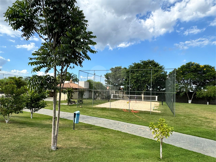 Foto REO1081074