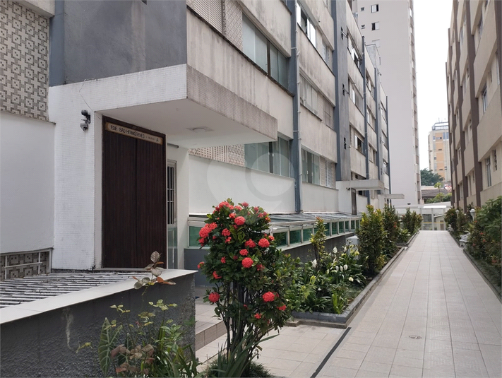 Foto REO1081087
