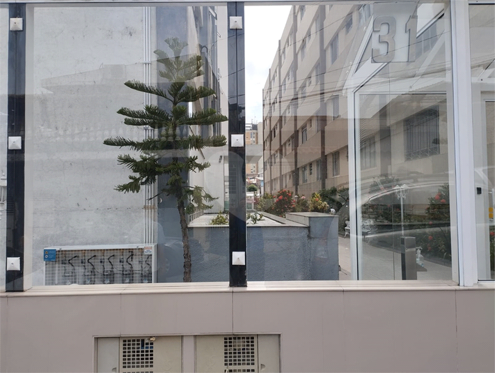Foto REO1081087