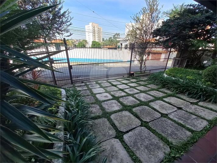 Foto REO1081089