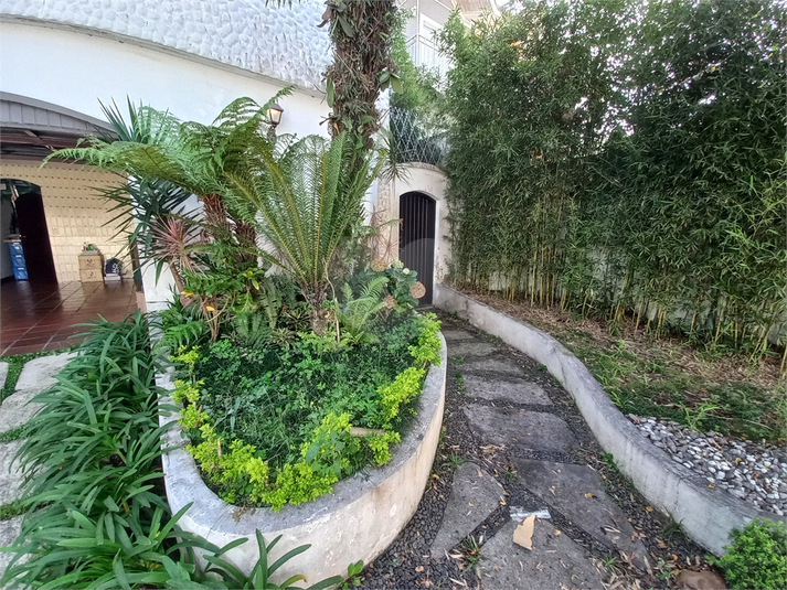 Foto REO1081089