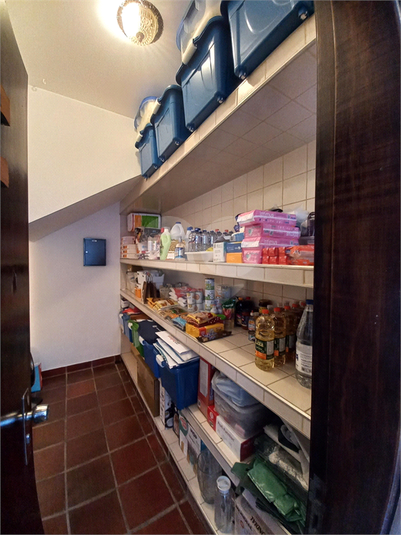 Foto REO1081089