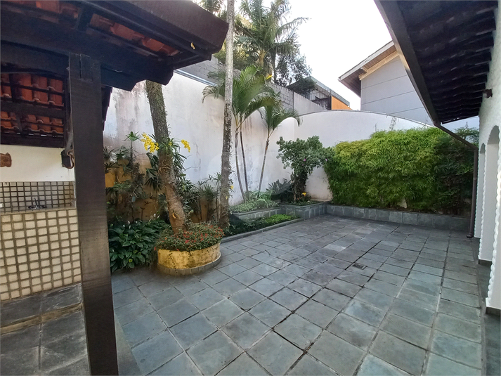 Foto REO1081089