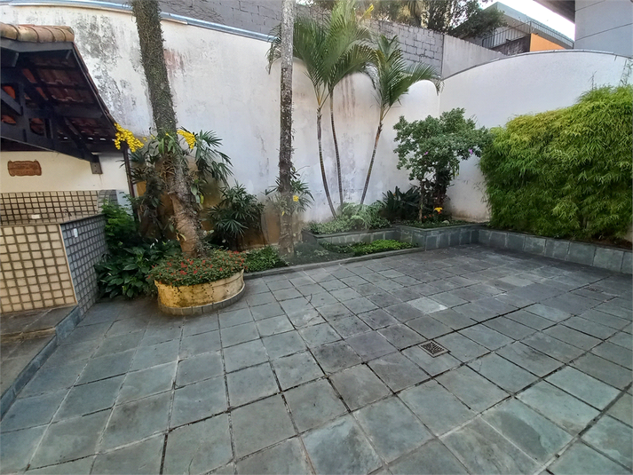 Foto REO1081089