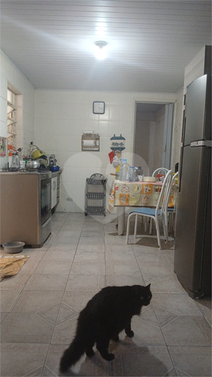 Foto REO1081101