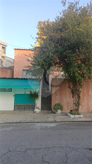 Foto REO1081101