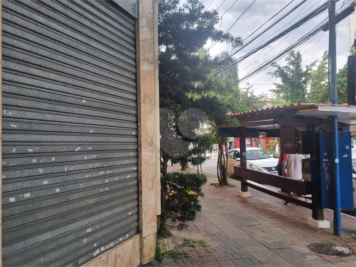 Foto REO1081180