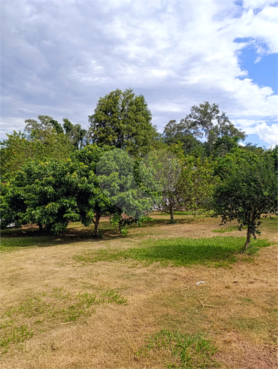 Foto REO1081183