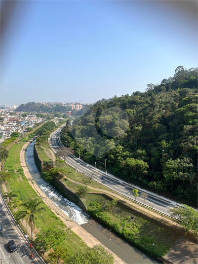 Foto REO1081251