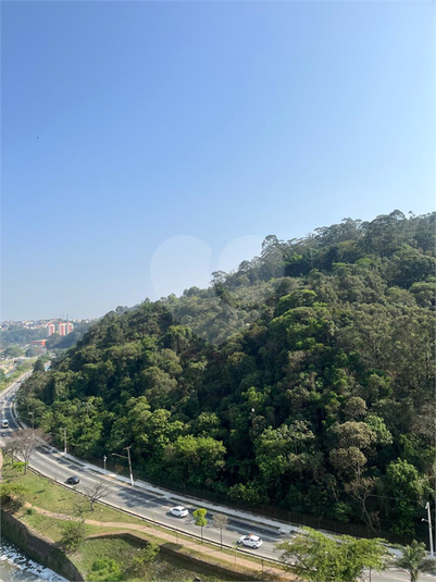 Foto REO1081251