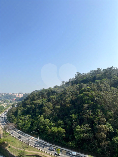 Foto REO1081251