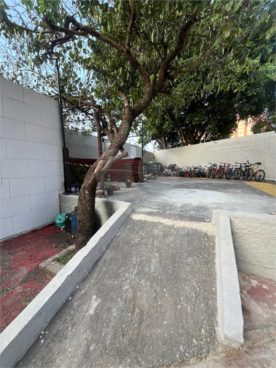 Foto REO1081251