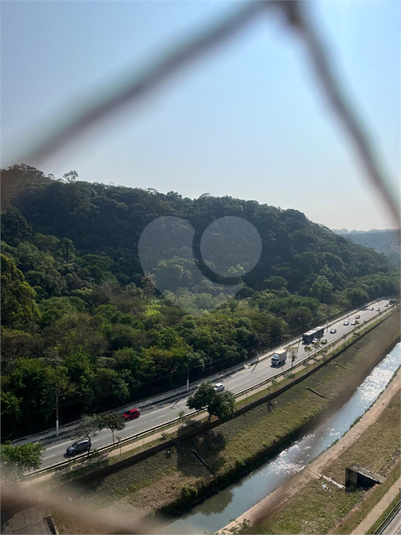 Foto REO1081251