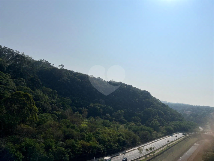 Foto REO1081251
