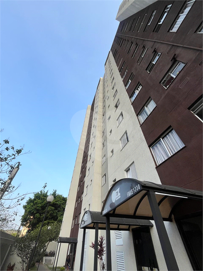 Foto REO1081251