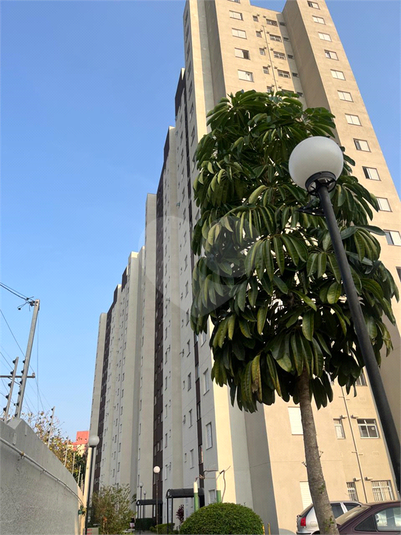 Foto REO1081251