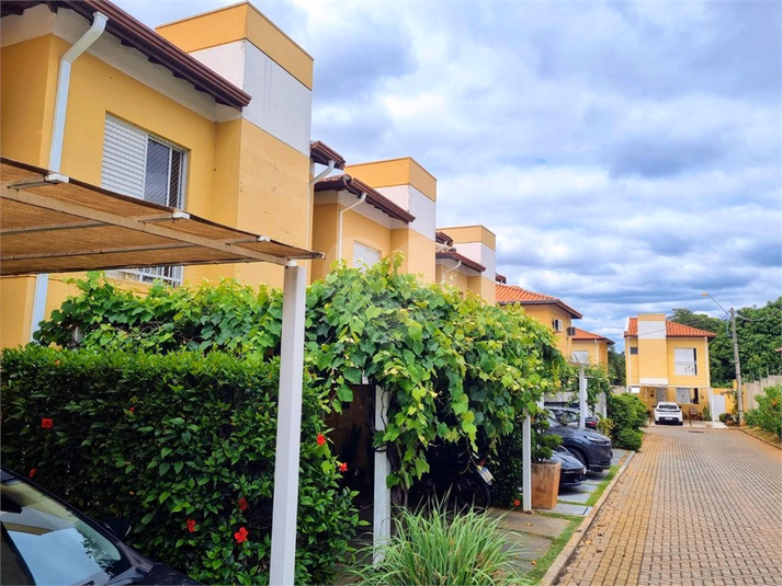 Foto REO1081268
