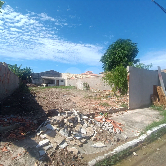 Foto REO1081287
