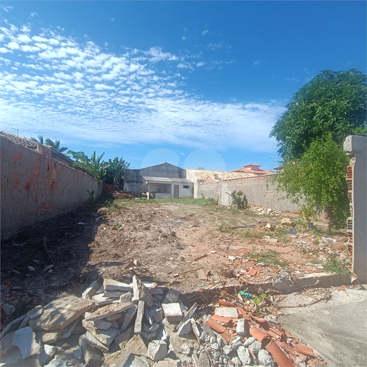 Foto REO1081287