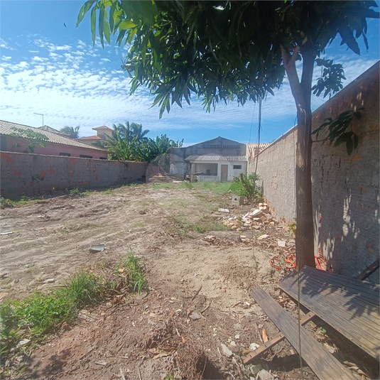 Foto REO1081287