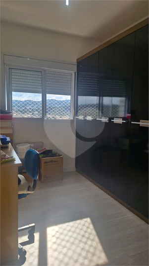 Foto REO1081296