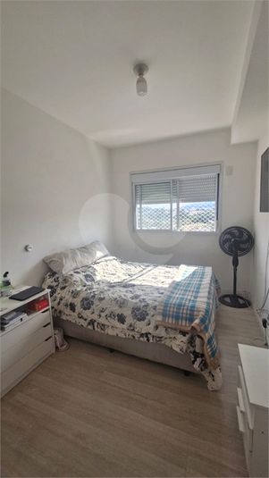 Foto REO1081296