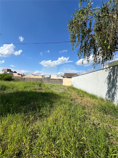 Foto REO1081315