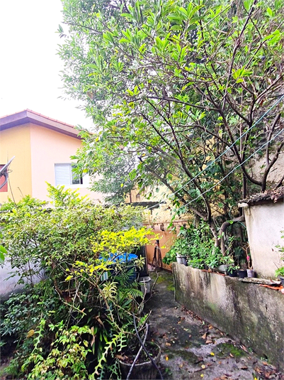 Foto REO1081346