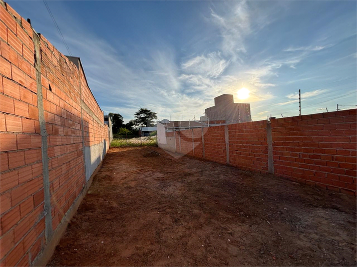 Foto REO1081354